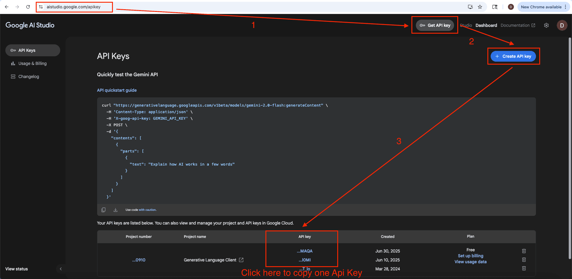 Get API Key from Gemini